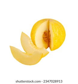 Realistic vector melon on white