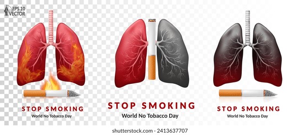 Realistic vector model of affected human lungs. Banner for healthcare and anti-smoking. 3D isolated illustrations set for the design of medical products, pharmacies, educational sites