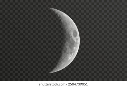 Realistic vector moon on an isolated transparent background. Moon vector png. Dark night with vector real moon.