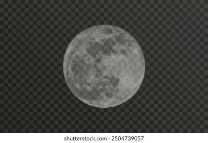 Realistic vector moon on an isolated transparent background. Moon vector png. Dark night with vector real moon.