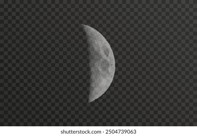 Realistic vector moon on an isolated transparent background. Moon vector png. Dark night with vector real moon.