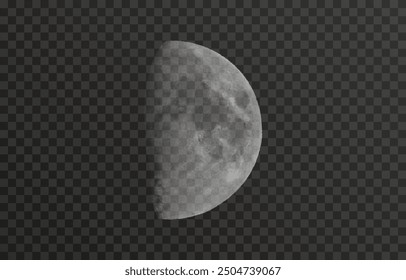 Realistic vector moon on an isolated transparent background. Moon vector png. Dark night with vector real moon.