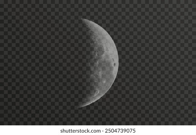 Realistic vector moon on an isolated transparent background. Moon vector png. Dark night with vector real moon.