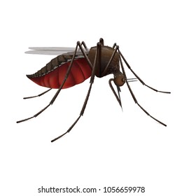 Realistic vector mosquito is a carrier of differend viruses, such as zika, malaria