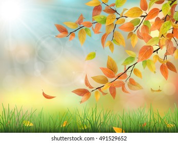 Realistic vector nature background. Autumn branch of a tree with colored leaves, grass and drops of dew.