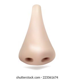 Realistic vector nose isolated on white background for medical illustration