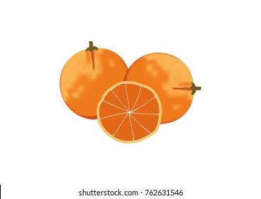 realistic vector of orange fruit