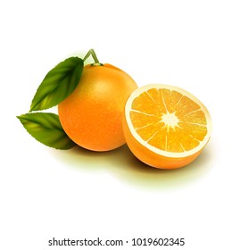 Realistic vector orange fruit isolate. Orange with leaves isolated on white.