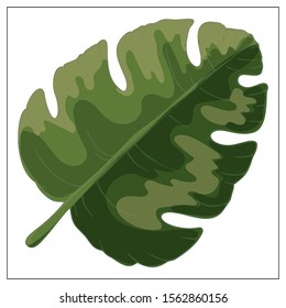 Realistic vector palm leaf. Isolated silhouettes of tropical plants on a white background.
