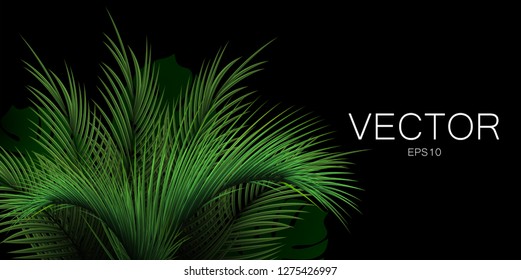 Realistic vector palm leaf on black background with place for text. 