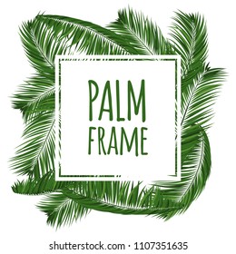 Realistic Vector Palm Leaves. Tropical Foliage. Floral Elements Set. Illustration of Jungle Plants. Palm Leaves Frame for Pattern, Wallpaper, Print, Fabric, Textile or Your Creative Design.