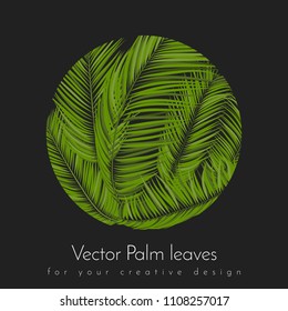 Realistic Vector Palm Leaves. Tropical Foliage. Floral Elements Set. Illustration of Jungle Plants. Palm Leaves Frame for Pattern, Wallpaper, Print, Fabric, Textile or Your Creative Design.