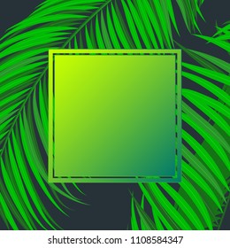 Realistic Vector Palm Leaves. Tropical Foliage. Floral Elements Set. Illustration of Jungle Plants. Palm Leaves Frame for Pattern, Wallpaper, Print, Fabric, Textile or Your Creative Design.