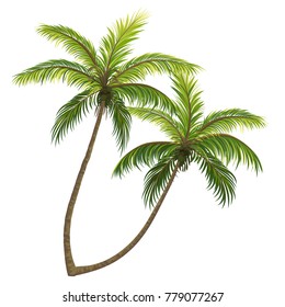 Realistic vector palm tree isolated on white background.