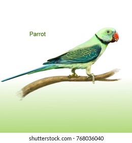 Realistic Vector Parrot On Branch