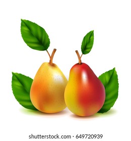 Realistic vector pears isolated on white background. Created using gradient meshes.