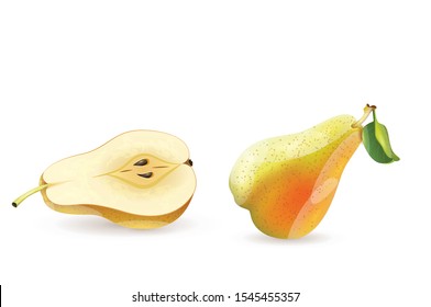 Realistic Vector pears. Whole and cut yellow Naspatti illustration