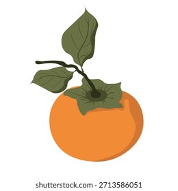 Realistischer Vektor Persimmon einzeln auf transparentem Hintergrund. Sommerfrucht-Template-Design. Perfekter Persimmon für Stoffdekor T-Shirt Print Botany Kartenabdeckung. EPS 10