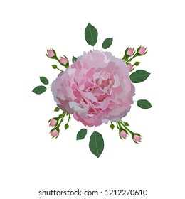 Realistic vector pink peony flower isolated on white background. EPS10