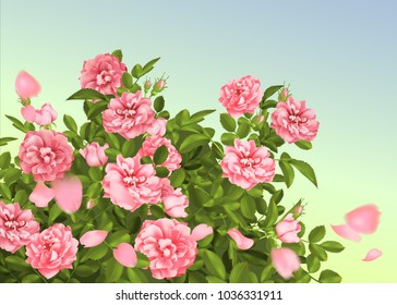 Realistic vector pink rose. 3d roses