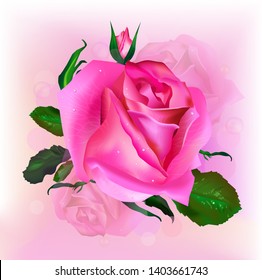 Realistic vector pink rose with green leaves on light pink background. 