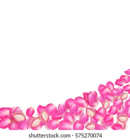 Realistic vector pink rose petals on white background.