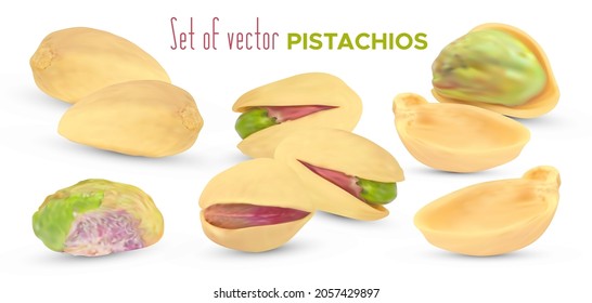 Realistic vector pistachios nuts and shell isolated on white background. Salted green pistache kernel. Snack food illustration.