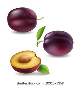 Realistic vector plum collection. Plums 3d icons isolated