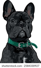 Realistic Vector Portrait of a Black French Bulldog Wearing a Green Collar