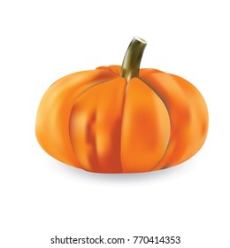 Realistic vector pumpkin isolated illustration