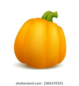 Realistic vector pumpkin isolated on white background. Vector vegetable illustration