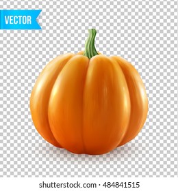 Realistic vector pumpkin isolated on transparency grid background