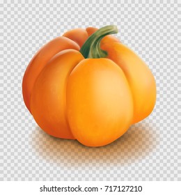 Realistic vector pumpkin isolated on transparency grid background. Hyperrealism gradient mesh illustration