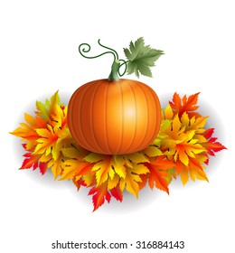 Realistic vector pumpkin on autumn leaves with shadows 
