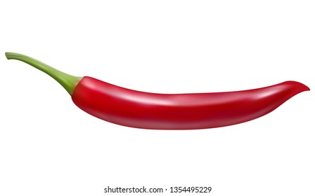 Realistic Vector Red Chilli isolated in White Background