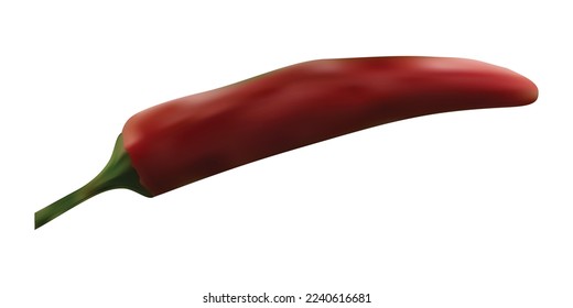 Realistic vector Red chilli pepper isolated on white background. 