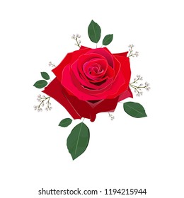 Realistic vector red rose isolated on white background