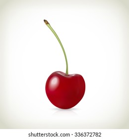 Realistic vector of ripe cherry.