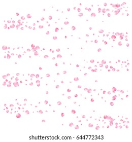 Realistic vector rose petals arranged in stripes. Flying pink rose petals confetti. Tender romantic floral decoration. Wedding, valentine or birthday background. Heart made of 3d sakura or rose petals