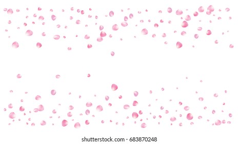 Realistic vector rose petals confetti flying. Pink rose petals falling down. Tender romantic floral decoration. 3d petal shower isolated. Wedding, valentine, birthday or natural cosmetics background.