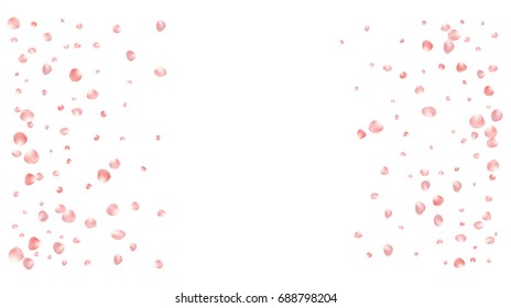 Realistic vector rose petals confetti flying. Orange rose petals falling down. Tender romantic floral decoration. 3d petal shower isolated. Wedding, valentine, birthday or natural cosmetics background