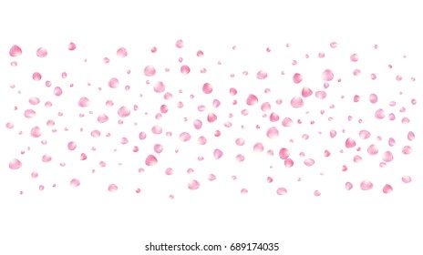 Realistic vector rose petals confetti flying. Pink rose petals falling down. Tender romantic floral decoration. 3d petal shower isolated. Wedding, valentine, birthday or natural cosmetics background.