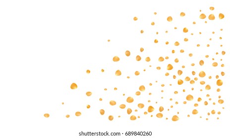 Realistic vector rose petals confetti flying. Yellow rose petals falling down. Tender romantic floral decoration. 3d petal shower isolated. Wedding, valentine, birthday or natural cosmetics background