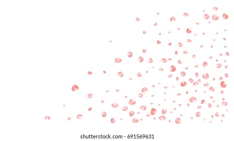 Realistic vector rose petals confetti flying. Orange rose petals falling down. Tender romantic floral decoration. 3d petal shower isolated. Wedding, valentine, birthday or natural cosmetics background
