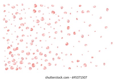Realistic vector rose petals confetti flying. Orange rose petals falling down. Tender romantic floral decoration. 3d petal shower isolated. Wedding, valentine, birthday or natural cosmetics background