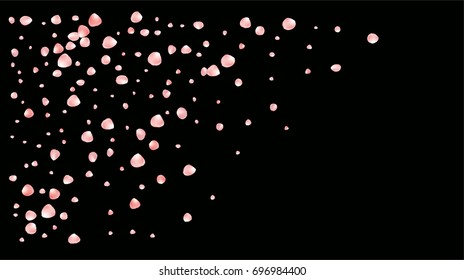 Realistic vector rose petals confetti flying. Orange rose petals falling down. Tender romantic floral decoration. 3d petal shower isolated. Wedding, valentine, birthday or natural cosmetics background