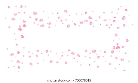 Realistic vector rose petals confetti flying. Pink rose petals falling down. Tender romantic floral decoration. 3d petal shower isolated. Wedding, valentine, birthday or natural cosmetics background.
