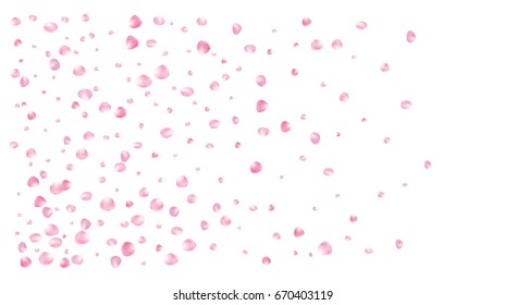 Realistic vector rose petals falling down. Pink rose petals confetti. Tender romantic floral decoration. 3d petal shower isolated on white. Wedding, valentine, birthday or natural cosmetics background