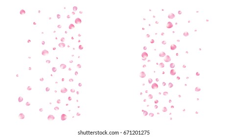 Realistic vector rose petals falling down. Pink rose petals confetti. Tender romantic floral decoration. 3d petal shower isolated on white. Wedding, valentine, birthday or natural cosmetics background