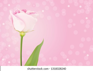 Realistic vector roses for your design